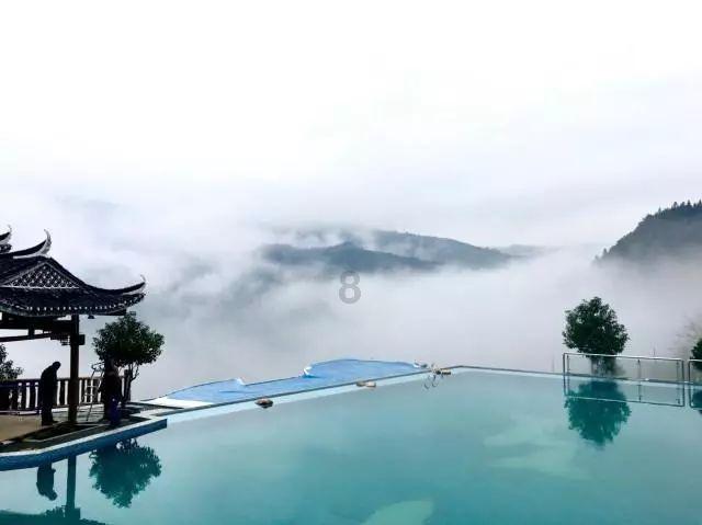 春雨直播app