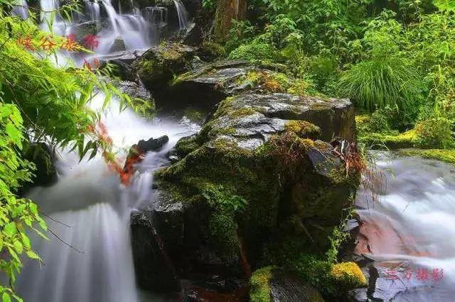 雷竞技比分